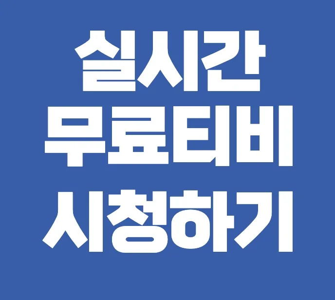 실시간 무료티비 시청